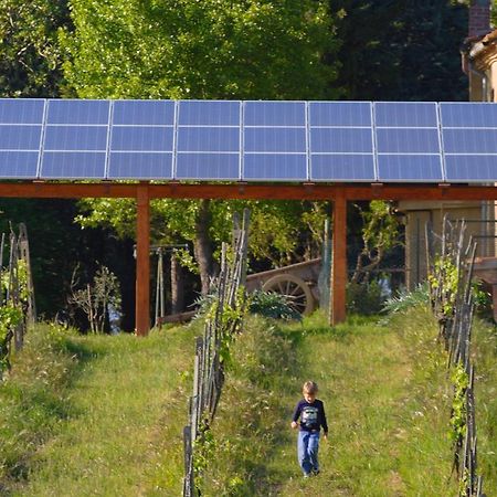 فيلا سان جيمينيانوفي Agriturismo Le Volpaie المظهر الخارجي الصورة